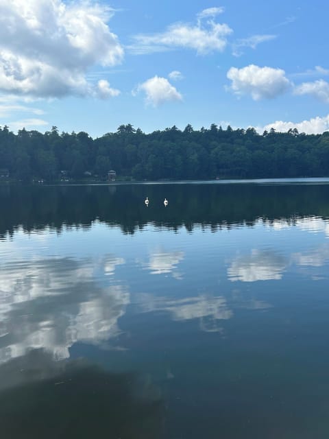 Some days the pond is clear as glass, and the reflection multiplies the beauty
