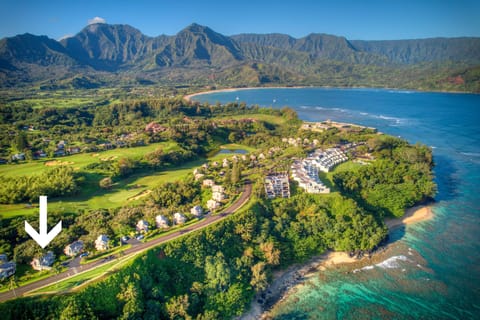drone view towards Hanalei Bay