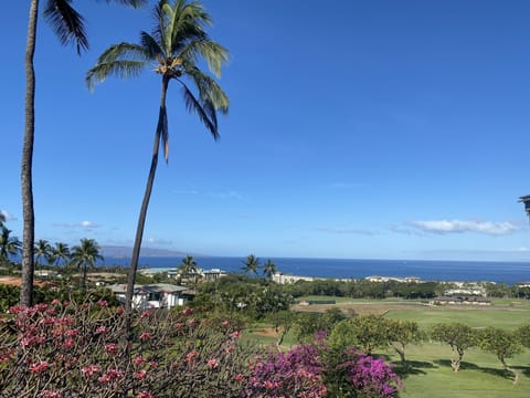 View from our Lanai