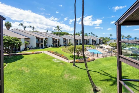 Pool view from the lanai.
