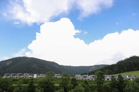 View from Holiday Home [summer]