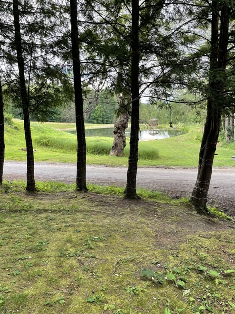 It’s not a vacation without a dishwasher! All the comforts of home and more.
