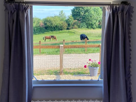 View from the bedrooms.