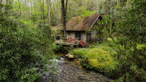 Creekside Cabin Rental with Mountain Views -  Exterior Shot