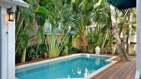 Sparking Swimming Pool in Backyard Oasis