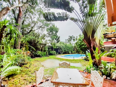 Indoor pool, open 8:00 AM to 6:00 PM, sun loungers
