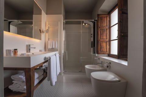 Free toiletries, hair dryer, bidet