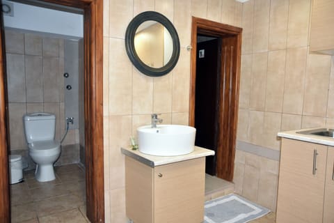 Premier Apartment | Bathroom | Shower, rainfall showerhead, free toiletries, hair dryer