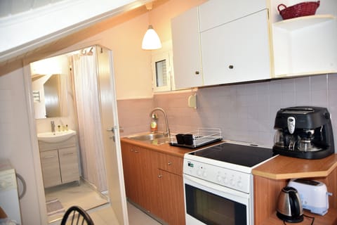 Family Studio Suite | Private kitchen | Mini-fridge, stovetop, toaster, cookware/dishes/utensils