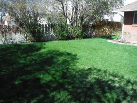 Backyard: Fully fenced