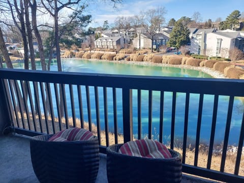 great peaceful view of the pond