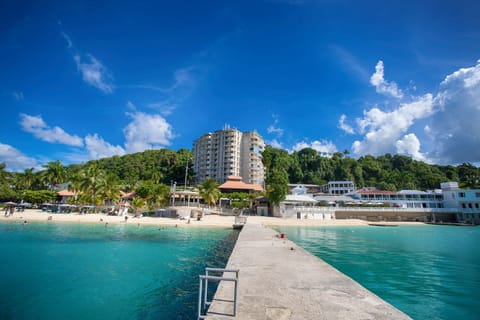 What a view! view of the building from Doctors cave beach across the street
