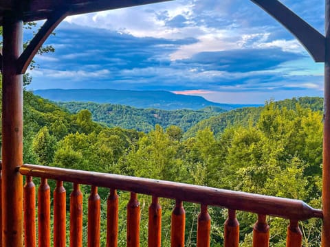 What a view!