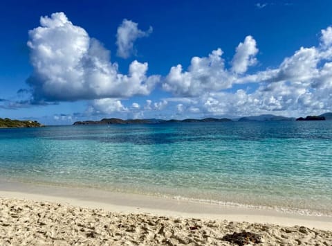 Immerse Yourself in Caribbean Bliss: Step Outside Your Door and Dive into the Pristine, Crystal-Clear Waters.
