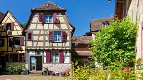 The Little Bear apartment is on the ground floor of the house (open glass door).