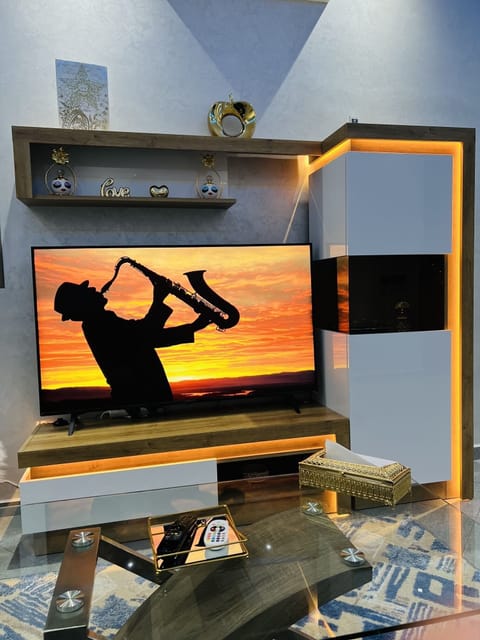 Television