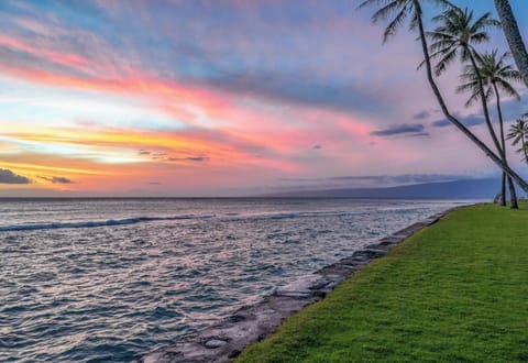 Gorgeous sunsets are the perfect end to your day