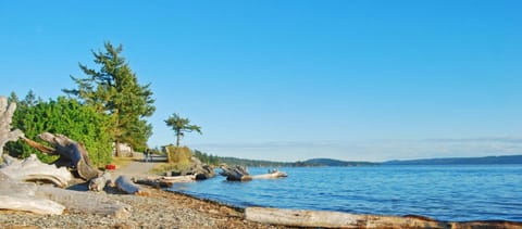 On the beach, kayaking, fishing