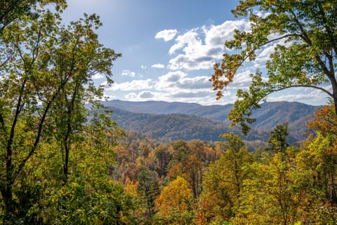 Beautiful mountain in the fall!