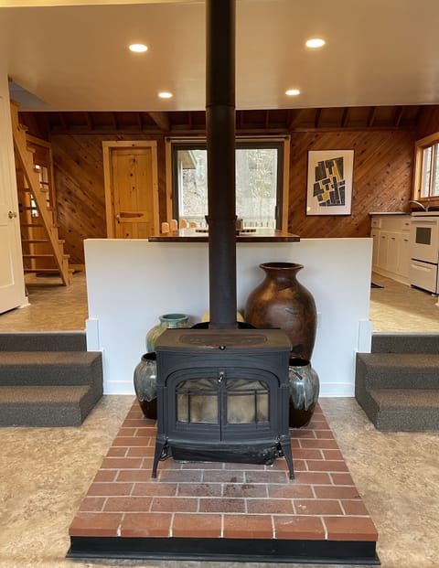 Wood stove and steps to entry level