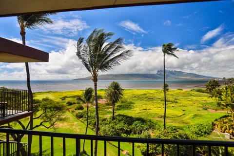 view from lanai