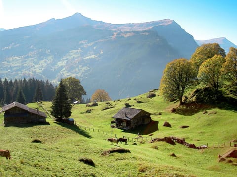 Cloud, Sky, Mountain, Green, Ecoregion, Plant, Natural Landscape, Highland, Vegetation, Biome