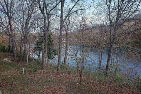 Lake Taneycomo view