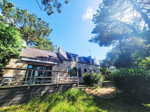 Plant, Sky, Window, Building, Natural Landscape, Vegetation, Cloud, Tree, Cottage, Grass