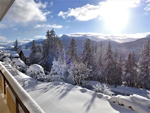 Cloud, Sky, Plant, Snow, Window, Mountain, Slope, Sunlight, Tree, Larch