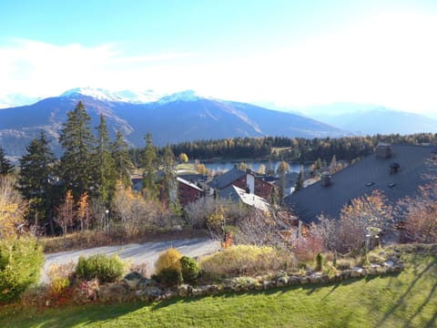 Sky, Plant, Mountain, Cloud, Property, Plant Community, Natural Landscape, Tree, Land Lot, Sunlight