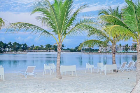 Beach Area