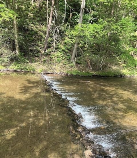 creek view from patio