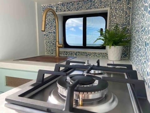 Deluxe Studio | Private kitchen | Mini-fridge, stovetop, cookware/dishes/utensils, cleaning supplies
