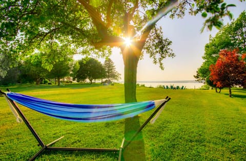 Hammock under the apple tree