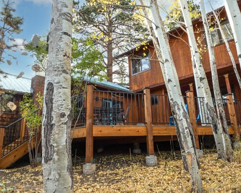 House and the LARGE deck