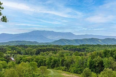 Early Smoky Mountains Mist