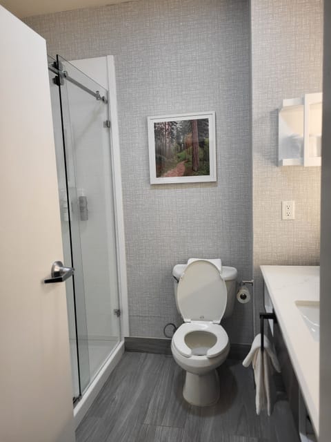 Free toiletries, hair dryer, towels