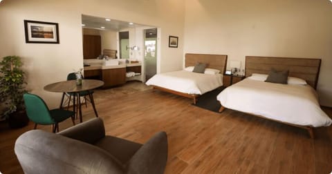 Deluxe Suite, 2 Queen Beds | 1 bedroom, Egyptian cotton sheets, premium bedding, down comforters