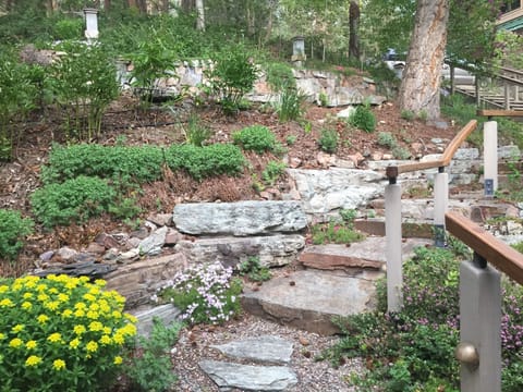 Stairs from garage/guest house down to main house