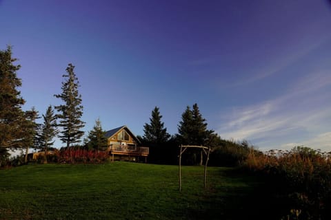 View of Douglas cabin looking up from the bluff
