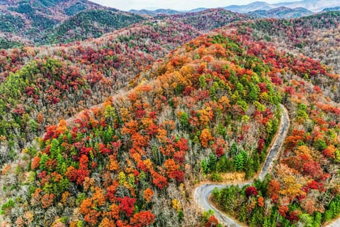 Get ready to see the amazing fall colors all around the Grillin Bear Lodge. 
