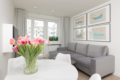 Comfortable, fold-out sofa in the living room. 