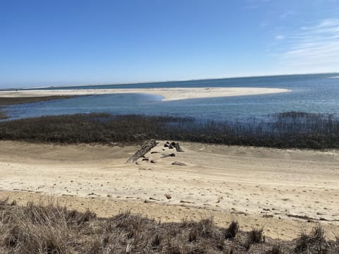 View from beach with sandbar you can enjoy with paths or walk to at low tide
