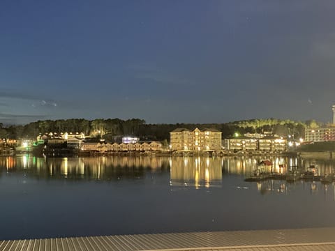 Beautiful view of Lake Hamilton