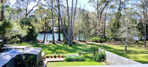 backyard views