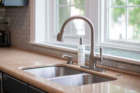 Double sink with pull down faucet