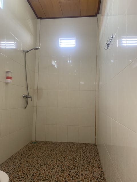 Shower, towels, soap, toilet paper