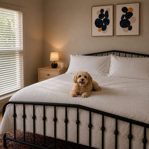 Sleep like royalty in our luxurious and comfy bed!