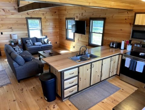 Kitchen island and living area