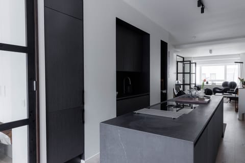 Superior Apartment | Private kitchen | Fridge, oven, stovetop, dishwasher